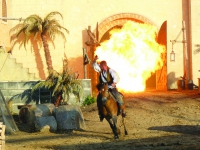 8Pferd-Feuer
