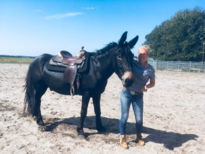 37126021_2033892726655642_3562420036226252800_o1