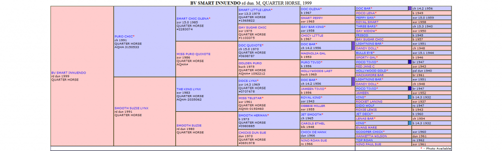 Screenshot-2019-2-6 Bv Smart Innuendo Quarter Horse