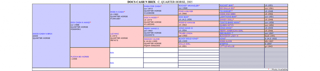 Screenshot-2019-2-6 Docs Cash N Brix Quarter Horse