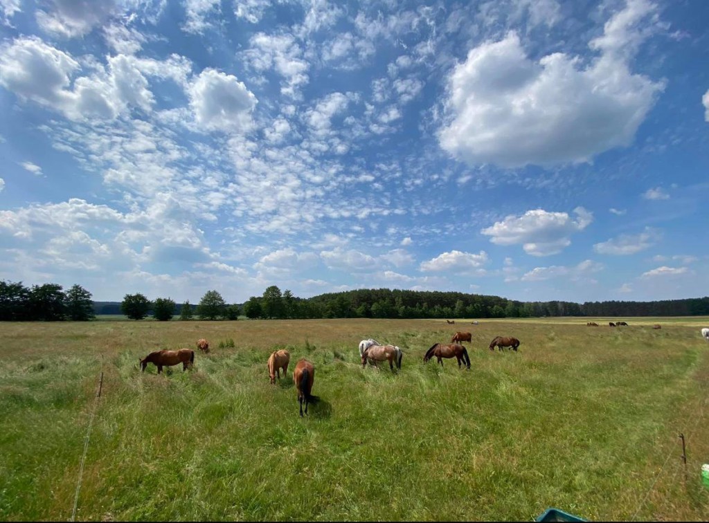 WhatsApp Image 2025-11-21 at 11.11.51