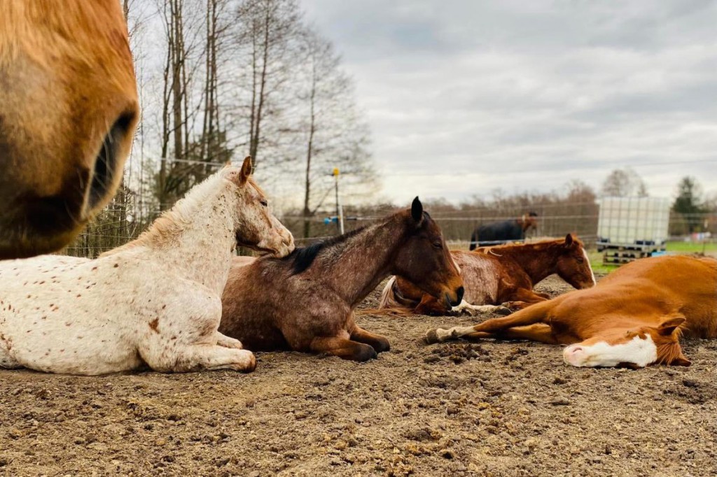 WhatsApp Image 2025-11-21 at 11.35.00