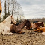 WhatsApp Image 2025-11-21 at 11.35.00