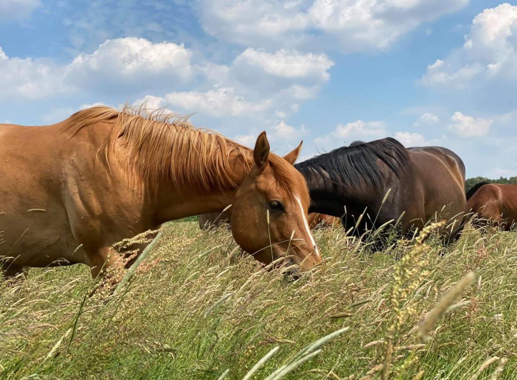 WhatsApp Image 2025-11-21 at 11.35.50