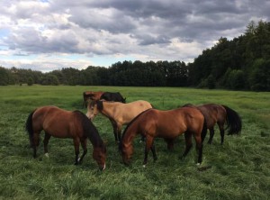 WhatsApp Image 2025-11-21 at 11.11.08