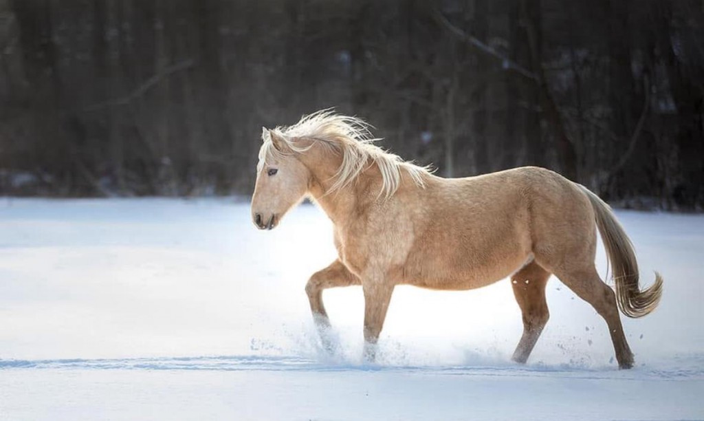 WhatsApp Image 2025-11-21 at 11.36.12