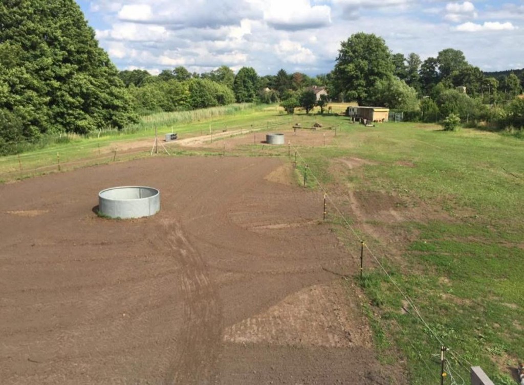 WhatsApp Image 2025-11-21 at 11.39.37